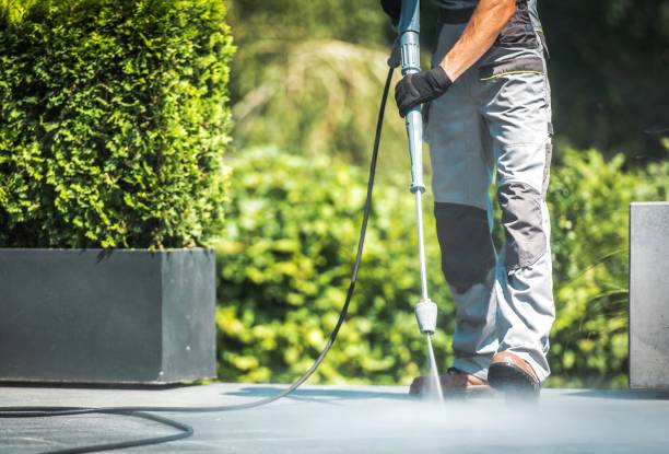 Best Fence Cleaning  in Los Gatos, CA